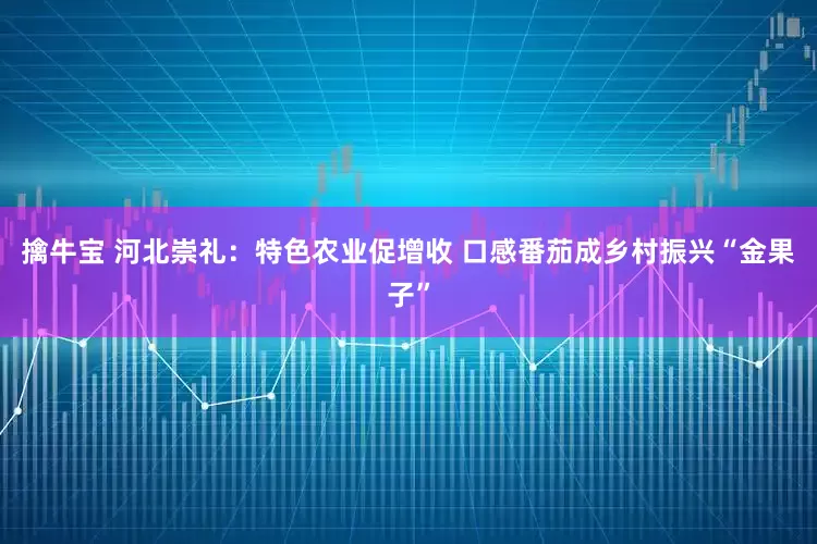 擒牛宝 河北崇礼：特色农业促增收 口感番茄成乡村振兴“金果子”