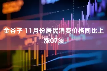 金谷子 11月份居民消费价格同比上涨07%
